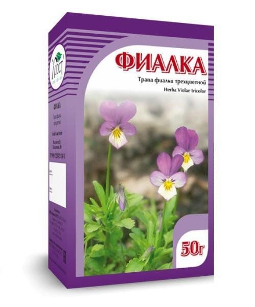 Фиалка